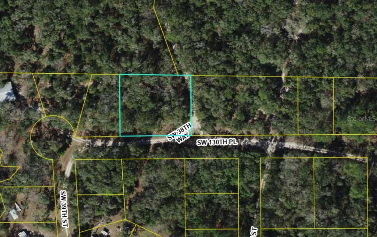 Listing Details for 93122 47th Way, WEBSTER, FL 33597