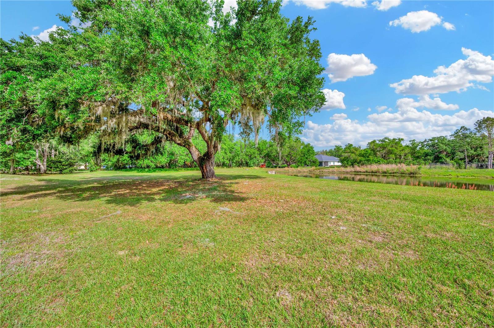 Listing photo id 45 for 2606 Martucci Road