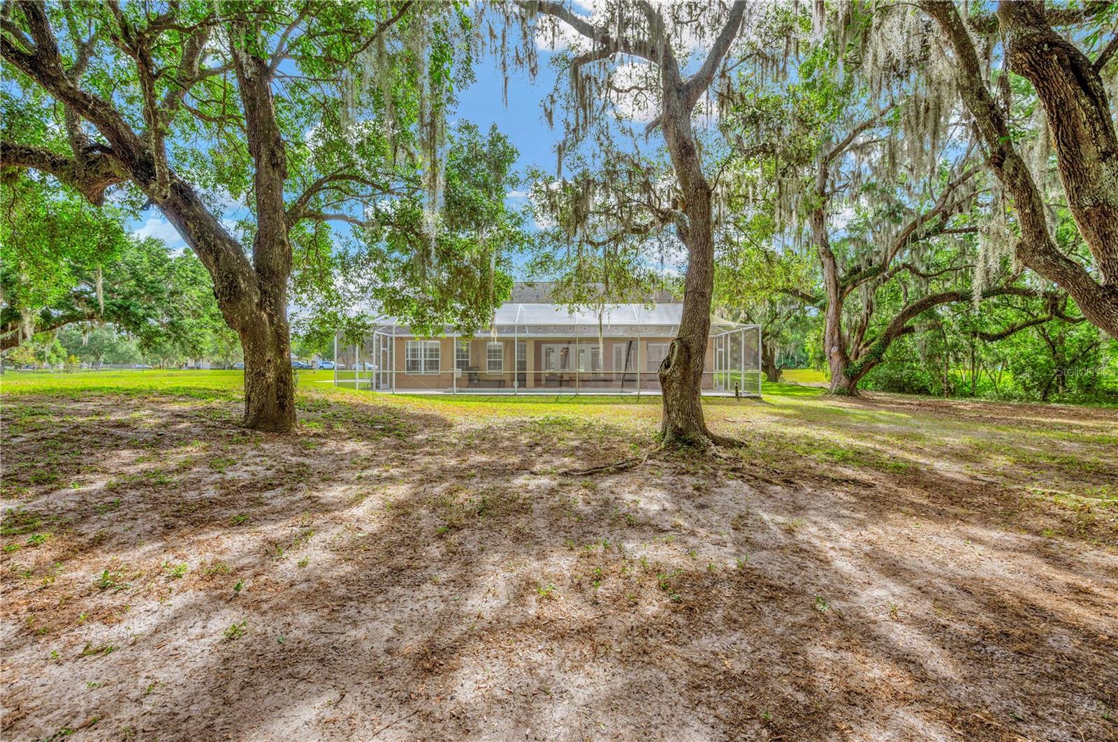 Listing photo id 47 for 2606 Martucci Road