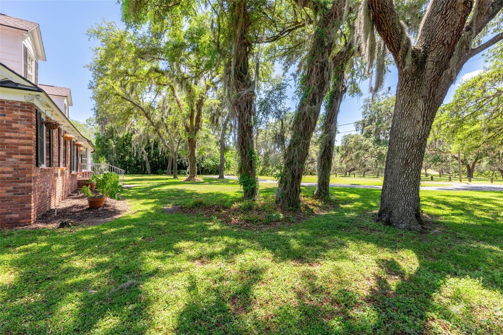 Listing photo id 36 for 1317 Alcoma Drive