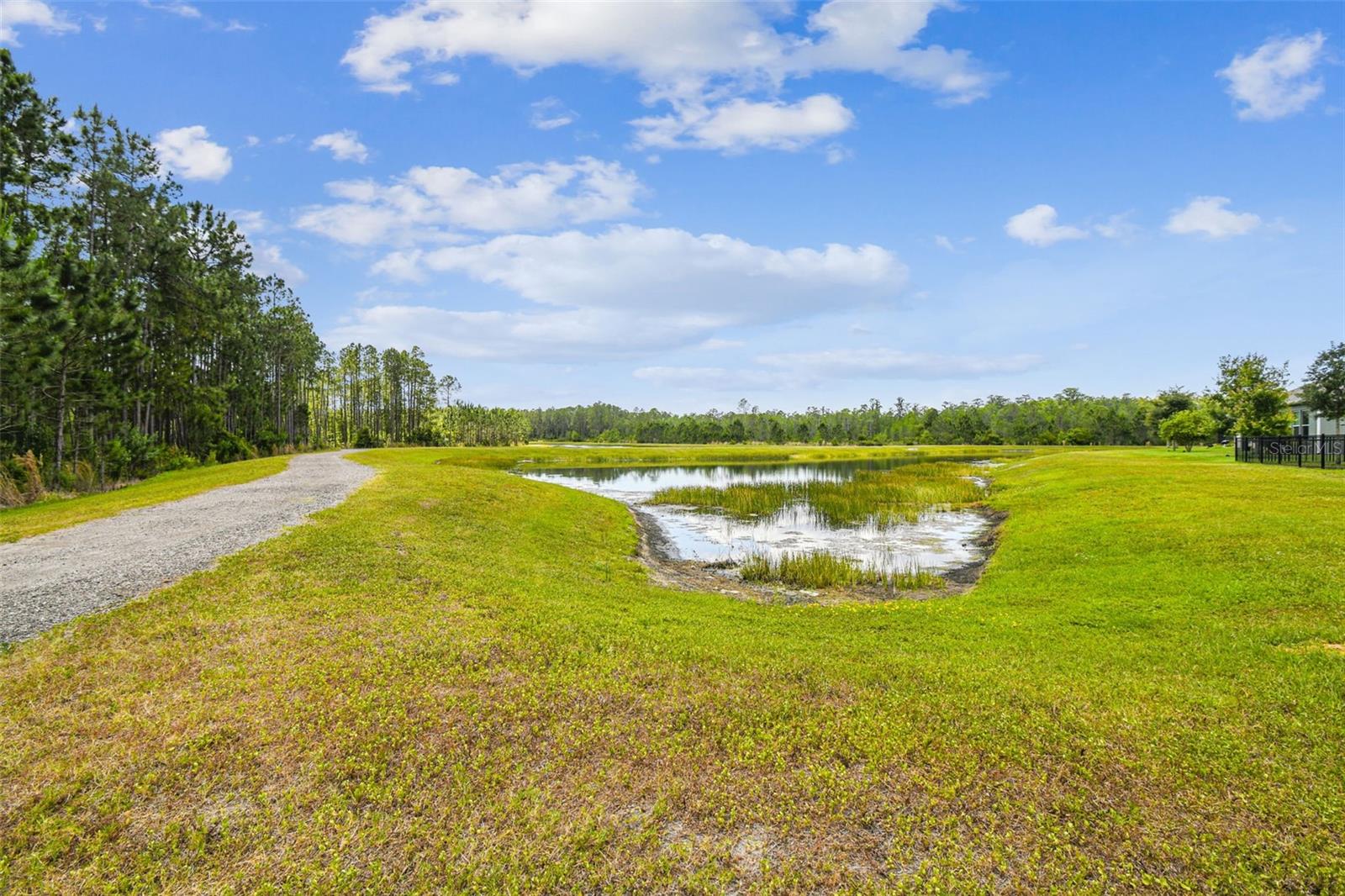 Image 82 of 99 For 4218 Tour Trace