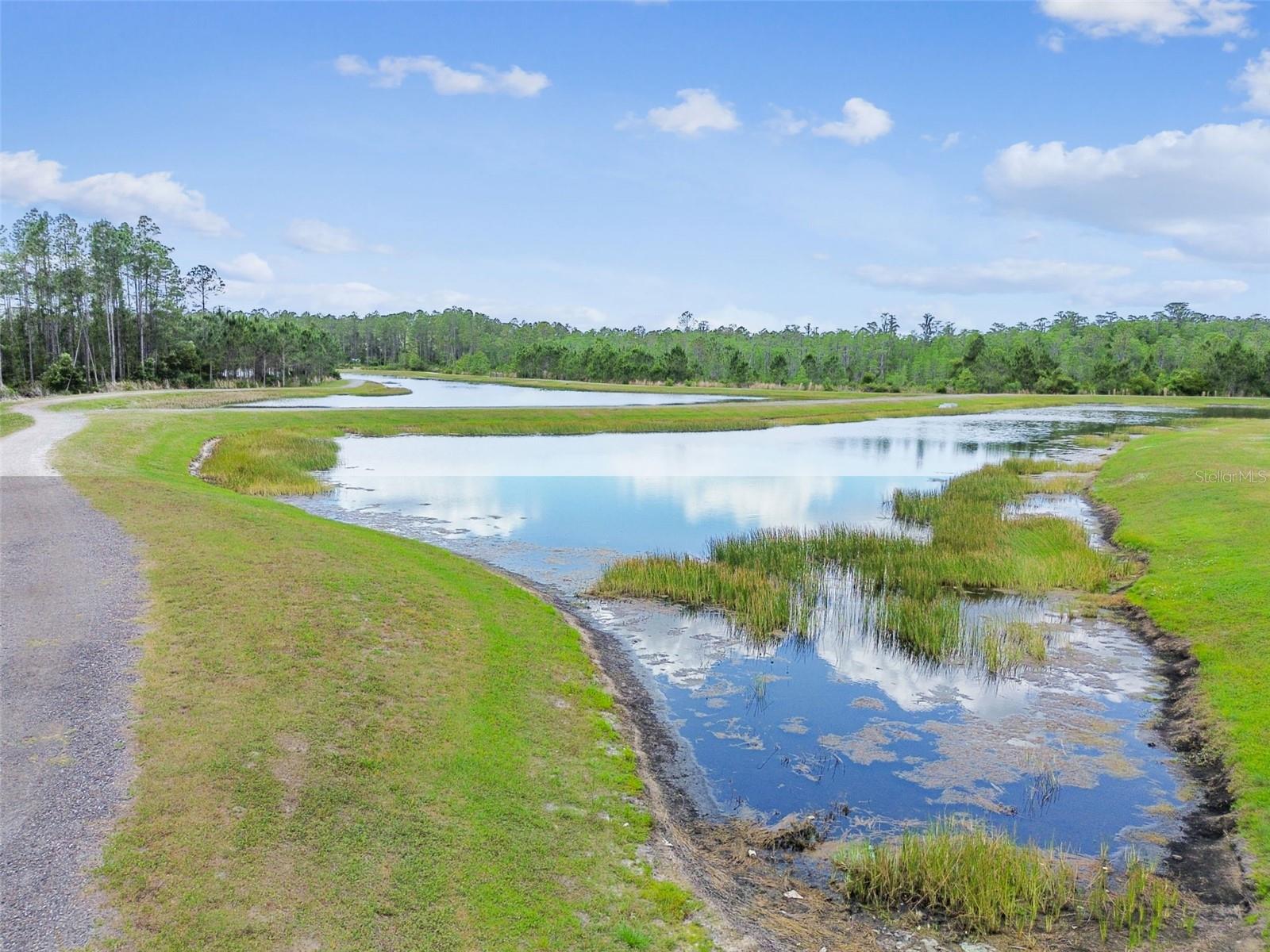 Image 89 of 99 For 4218 Tour Trace