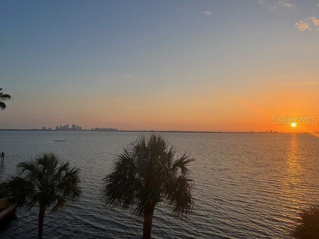 Listing photo id 39 for 4950 Bayshore Boulevard 22