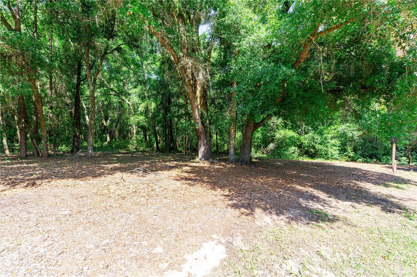 Image 46 of 51 For 13721 Riada Way, Dade City Fl,33525 Way