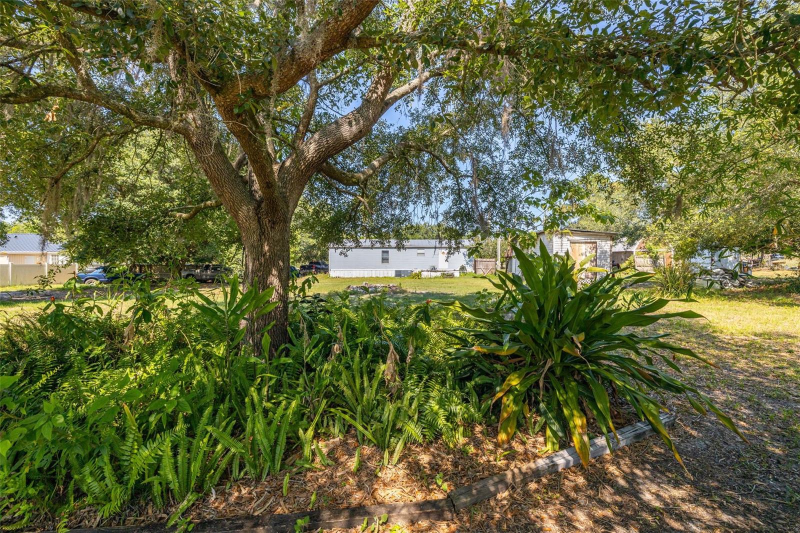 Listing photo id 24 for 7308 Boyette Road