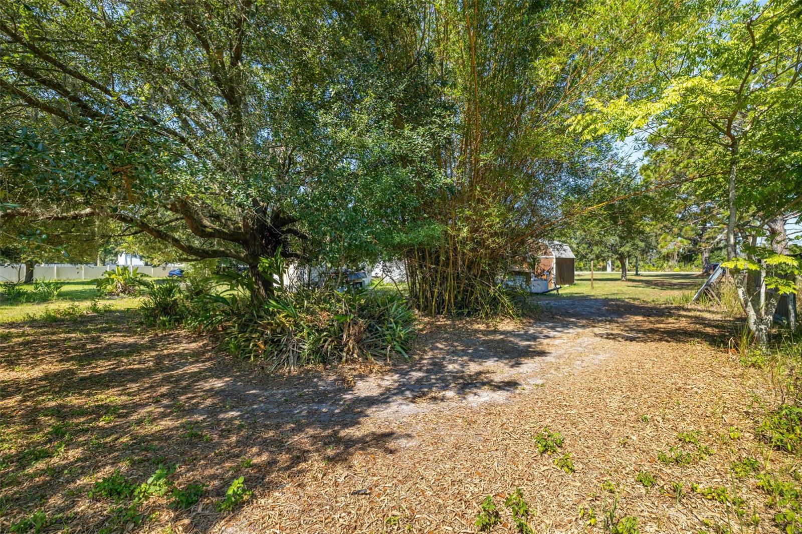 Listing photo id 26 for 7308 Boyette Road