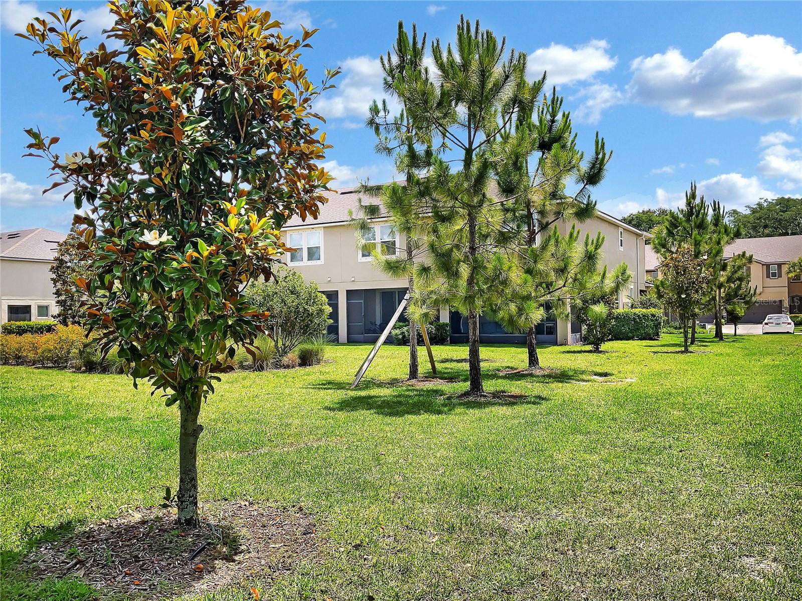 Image 31 of 31 For 11522 Cambium Crown Drive
