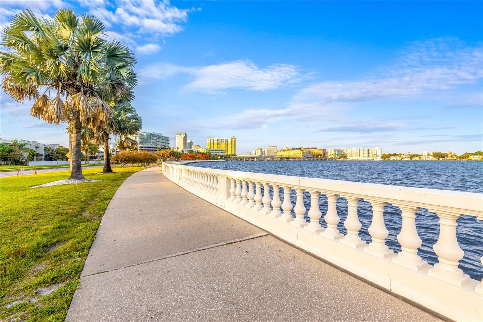 Listing photo id 64 for 803 Bayshore Boulevard