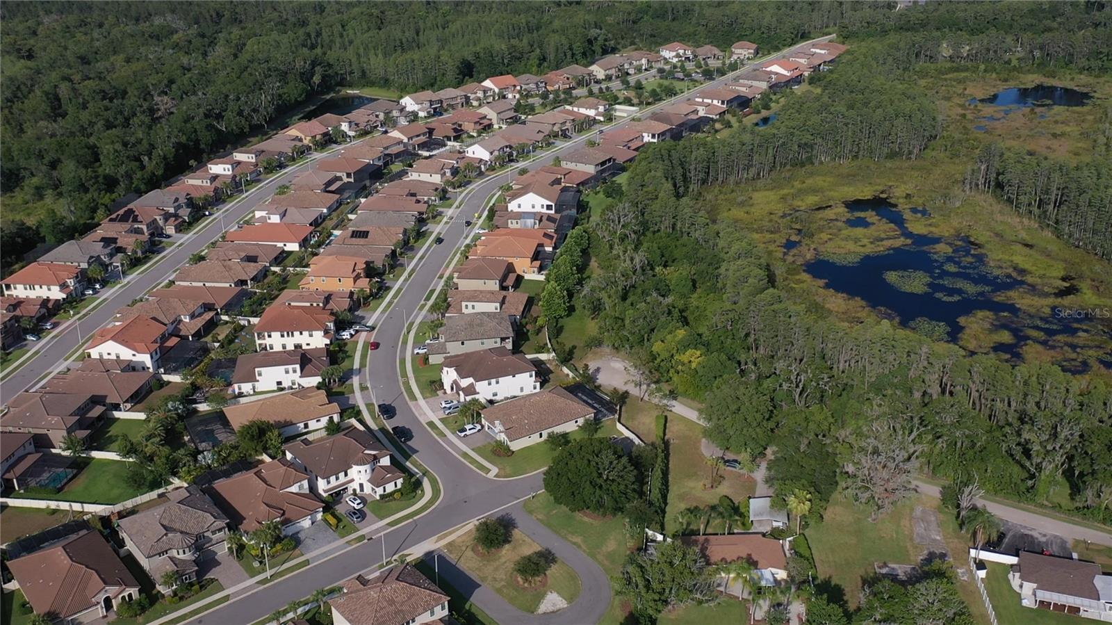 Image 95 of 96 For 21662 Pristine Lake Boulevard