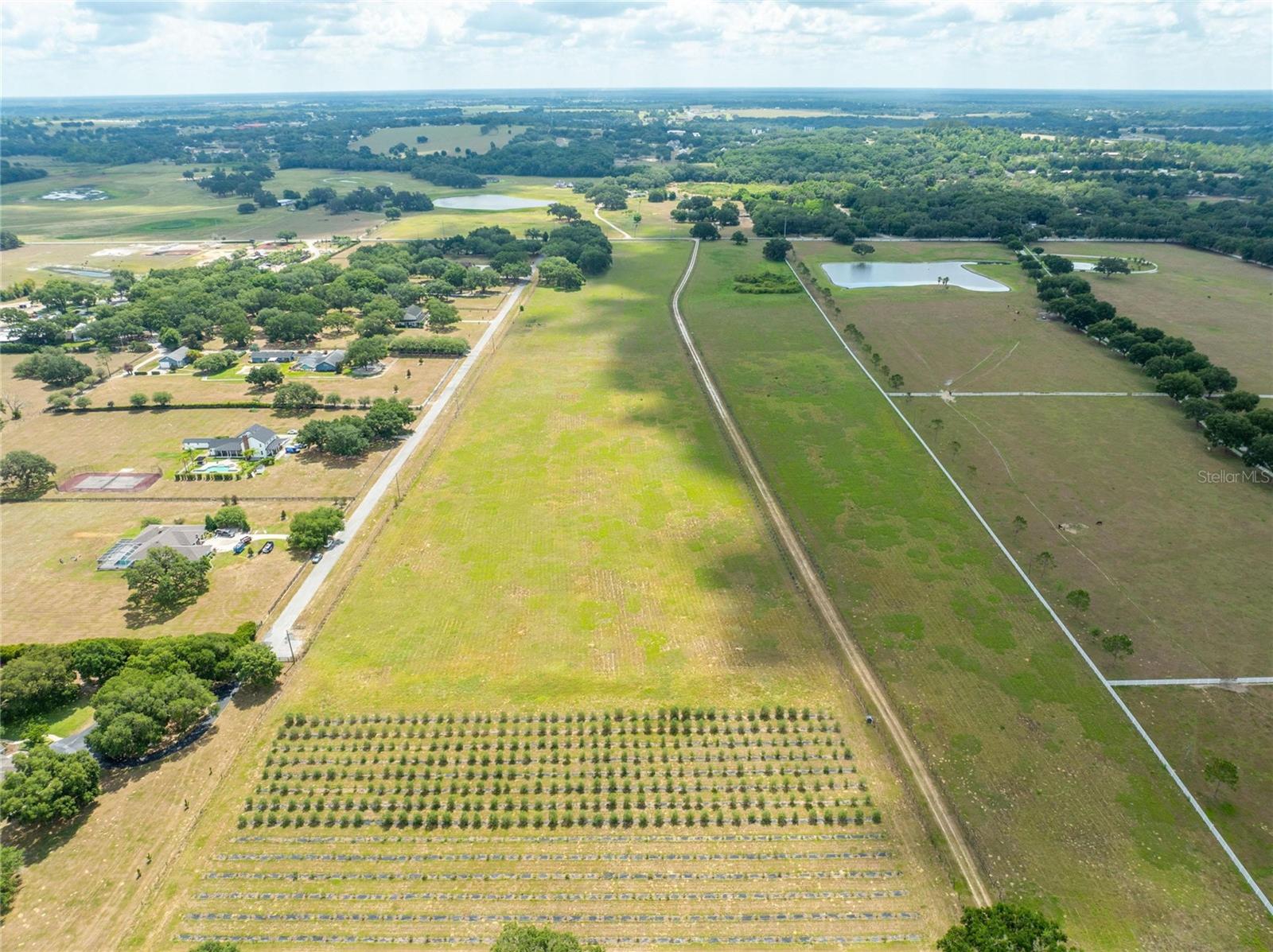 Image 96 of 98 For 9229 Fort King Road