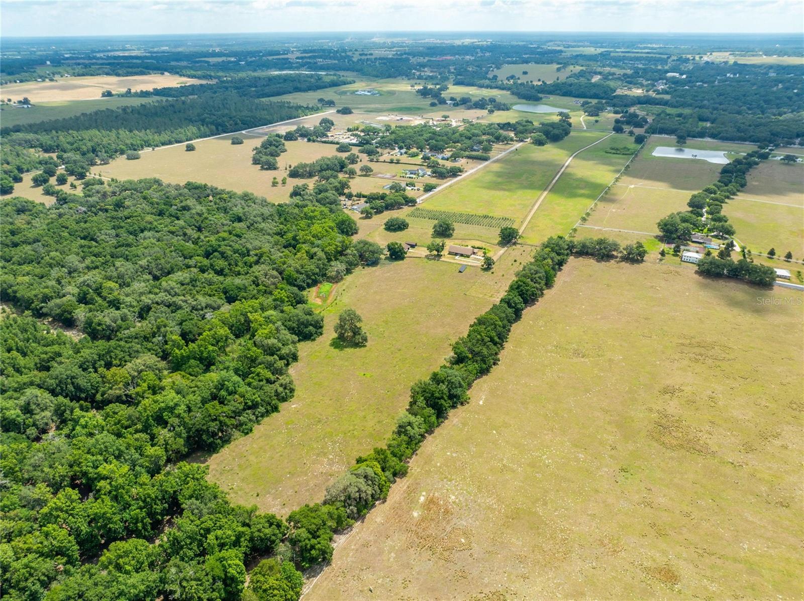 Image 97 of 98 For 9229 Fort King Road