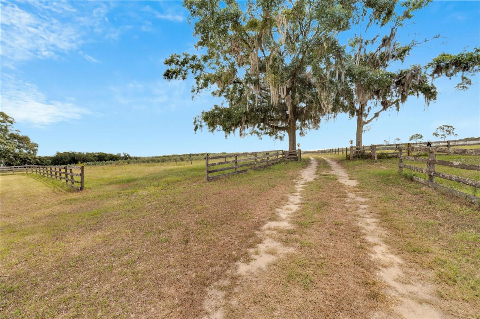 Listing photo id 94 for 9229 Fort King Road