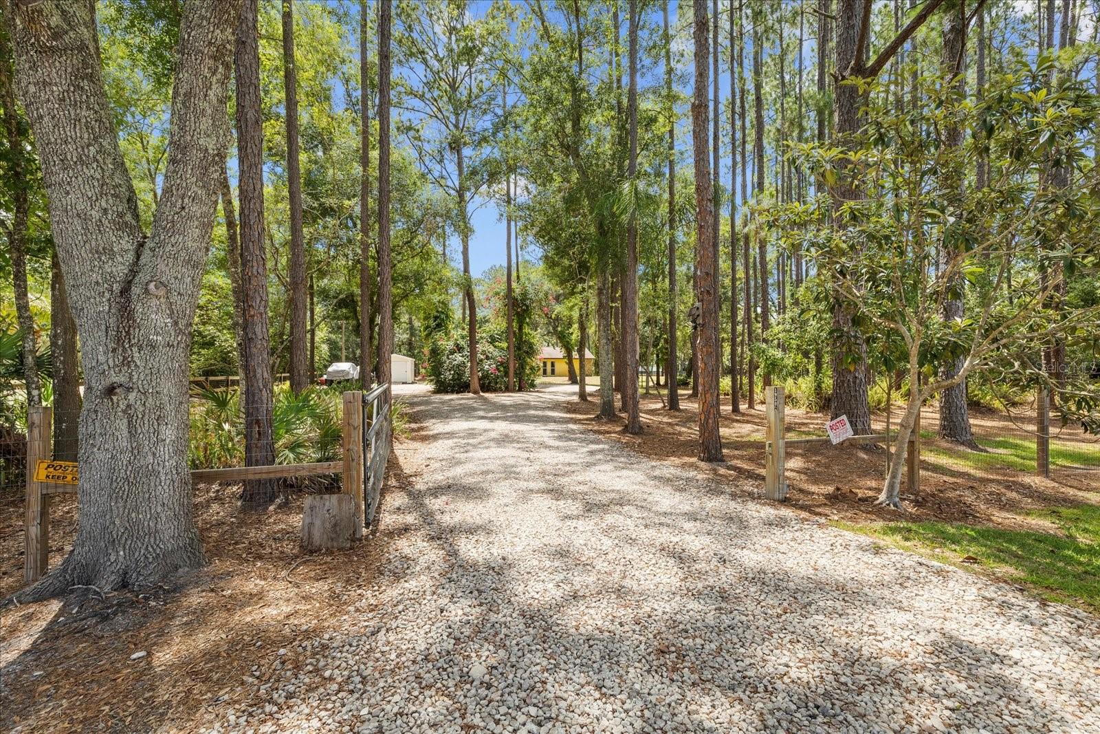 Details for 19502 Pine Tree Road, ODESSA, FL 33556