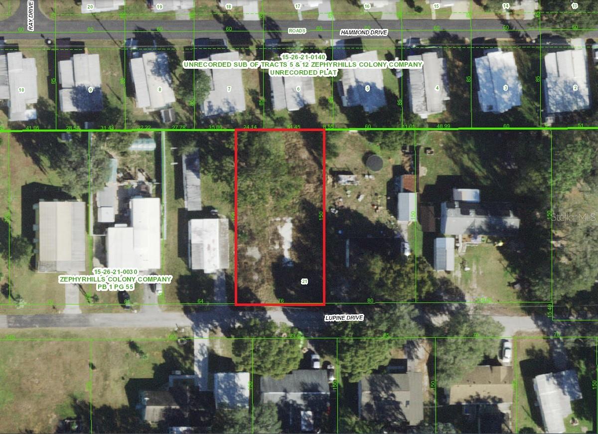 Listing Details for 37413 Lupine Drive, ZEPHYRHILLS, FL 33541