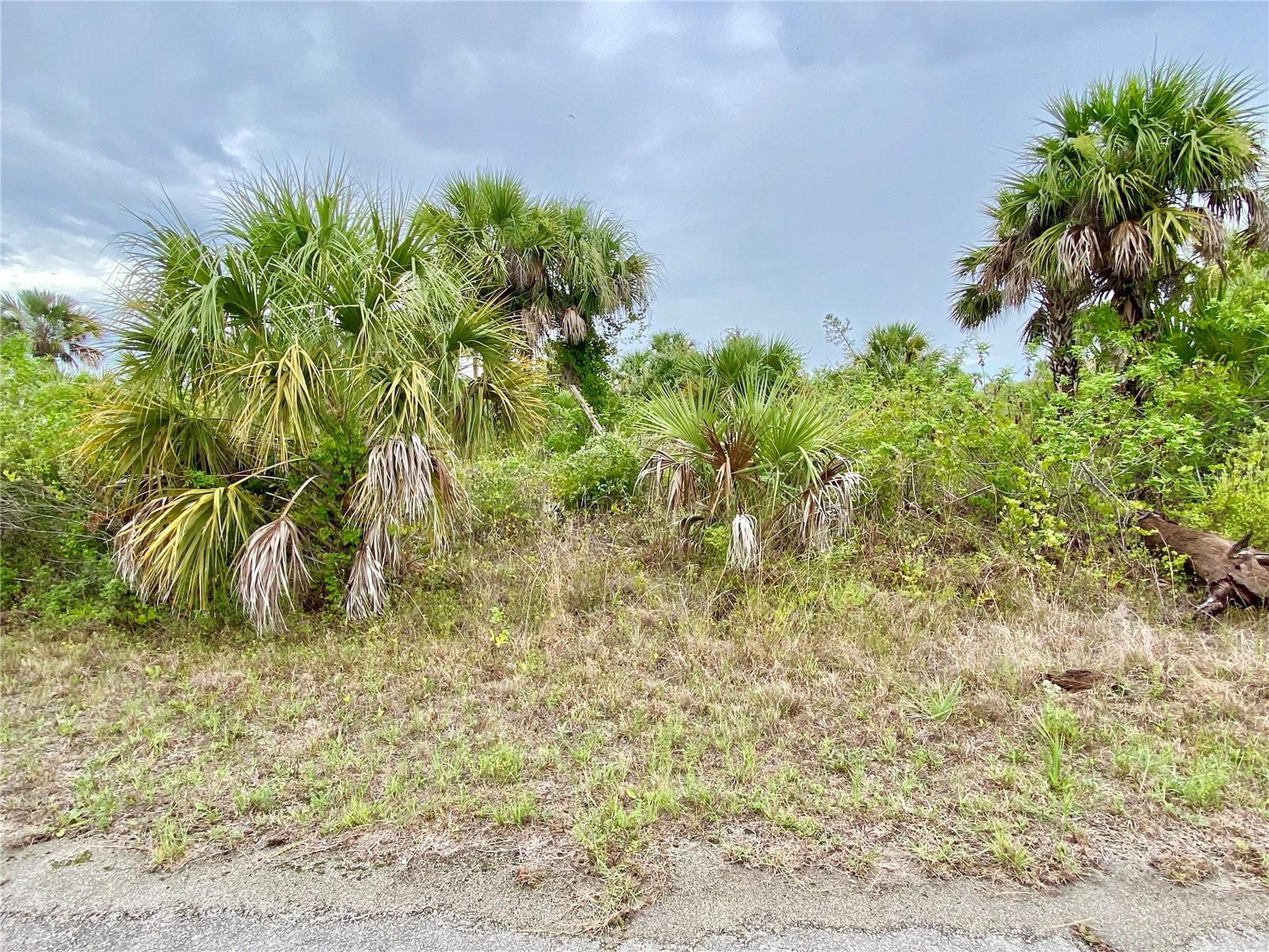 Details for Kimberly Drive, NORTH PORT, FL 34288