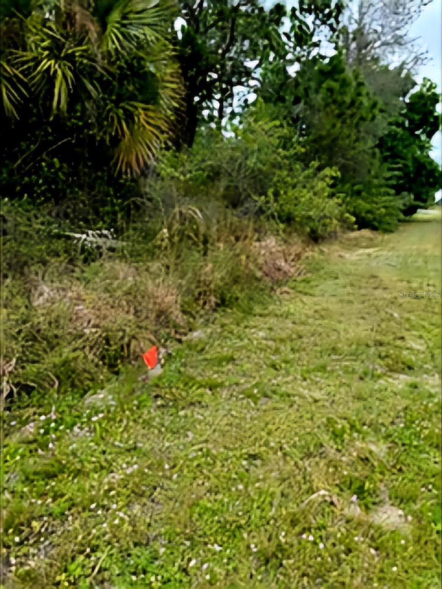 Image 8 of 8 For 860 Shetland Street