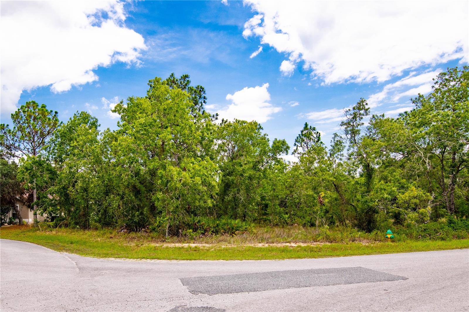 Details for 28 Smilax Court N, HOMOSASSA, FL 34446