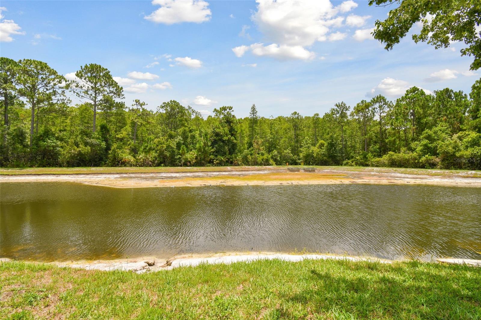 Image 64 of 96 For 12628 White Bluff Road