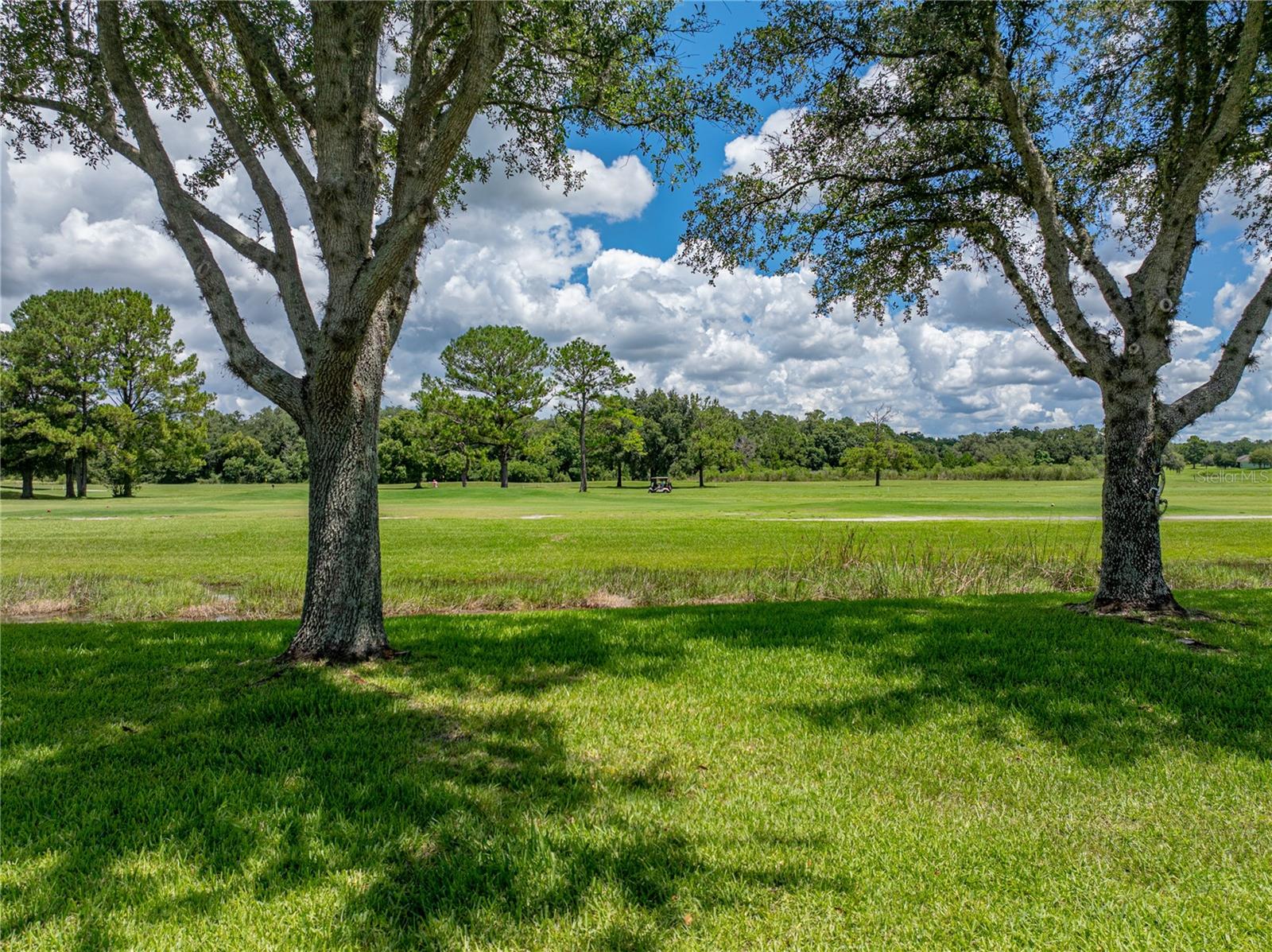 Image 60 of 89 For 17413 Eagle Trace Drive