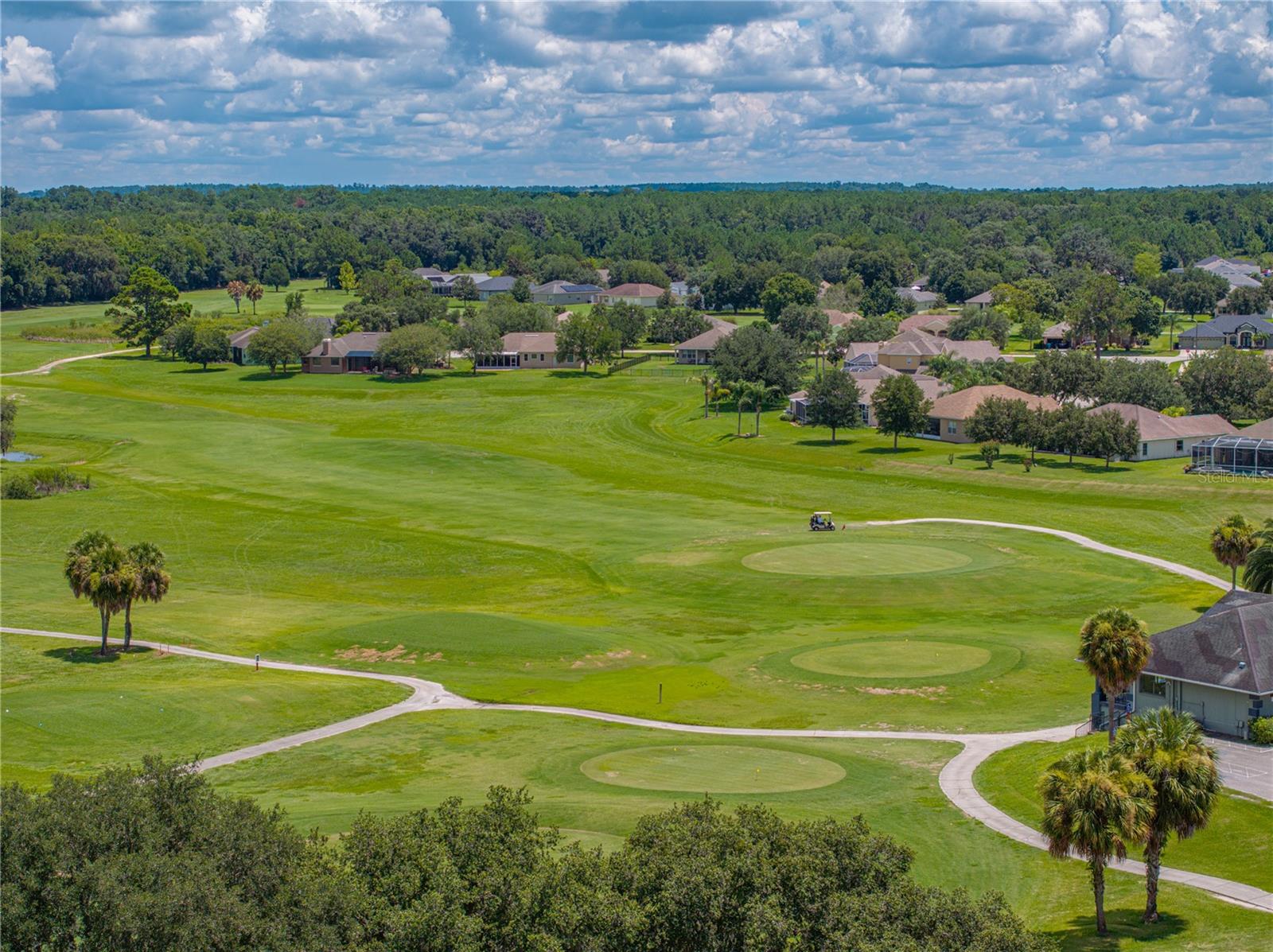 Image 79 of 89 For 17413 Eagle Trace Drive