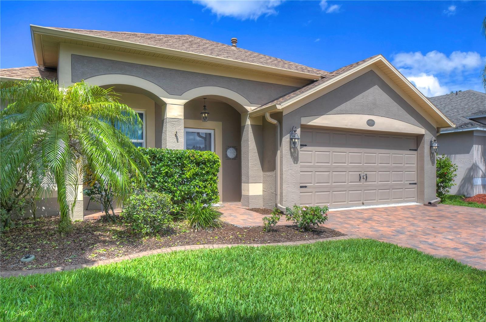 Details for 1803 Roseroot Court, TRINITY, FL 34655