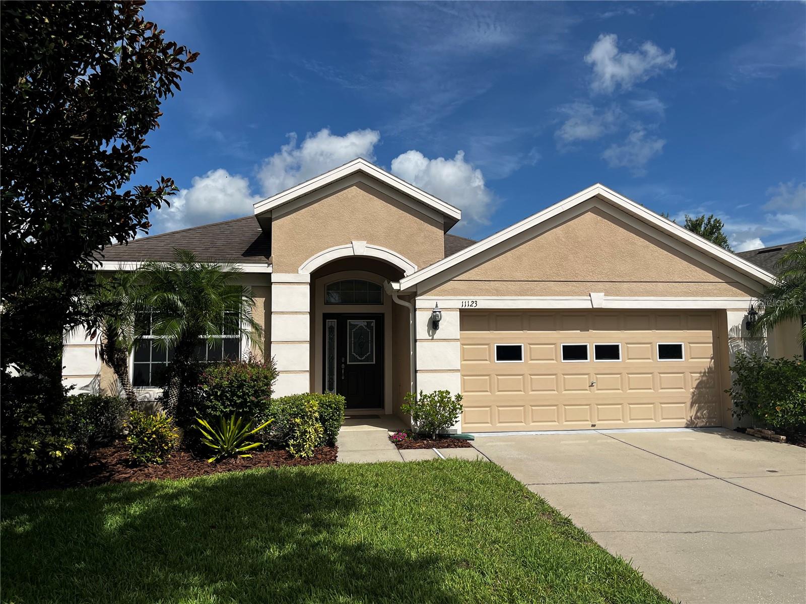 Details for 11123 Foster Carriage Road, LITHIA, FL 33547