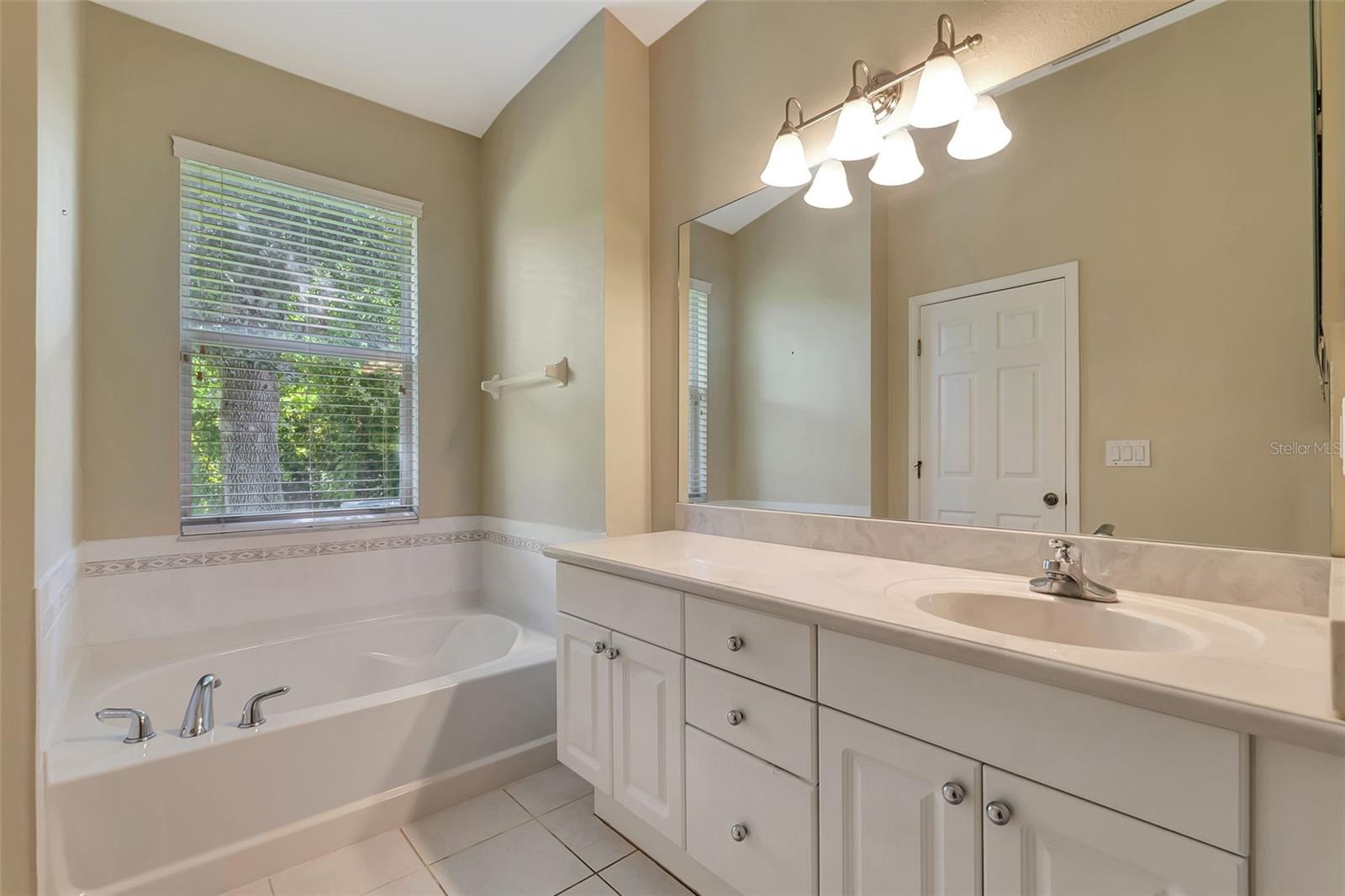 Listing photo id 19 for 10906 Holly Cone Drive