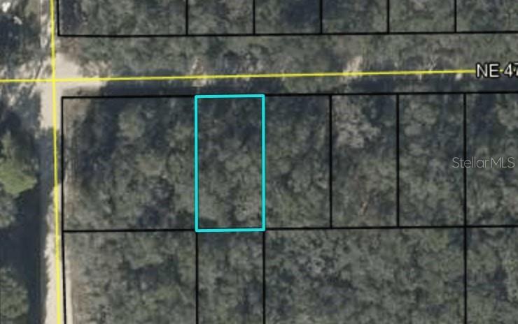 Listing Details for Tbd 470th Avenue, OLD TOWN, FL 32680