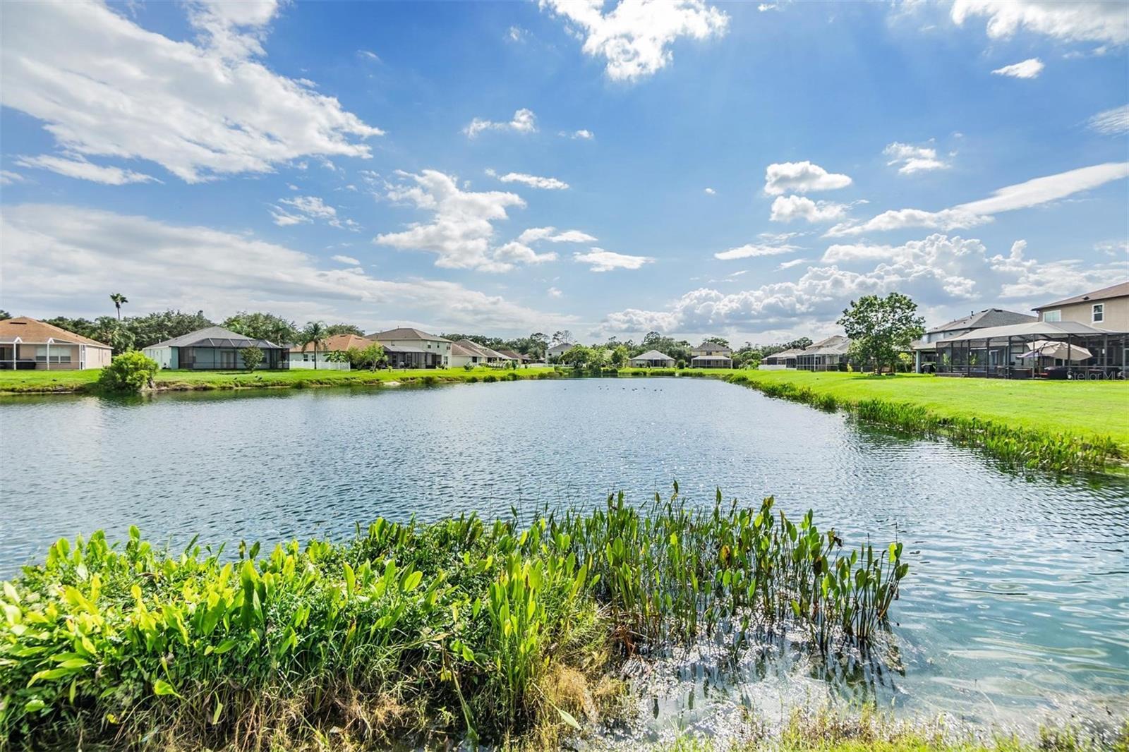 Listing photo id 2 for 1963 Fruitridge Street