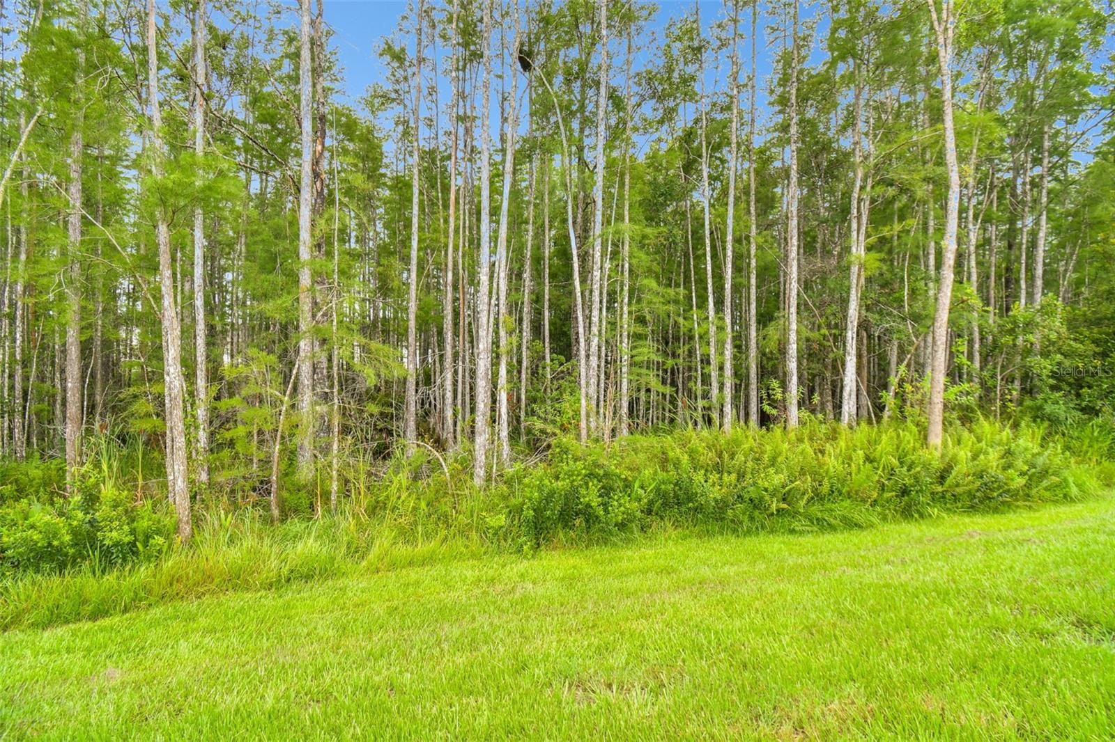 Image 67 of 92 For 21581 Violet Periwinkle Drive