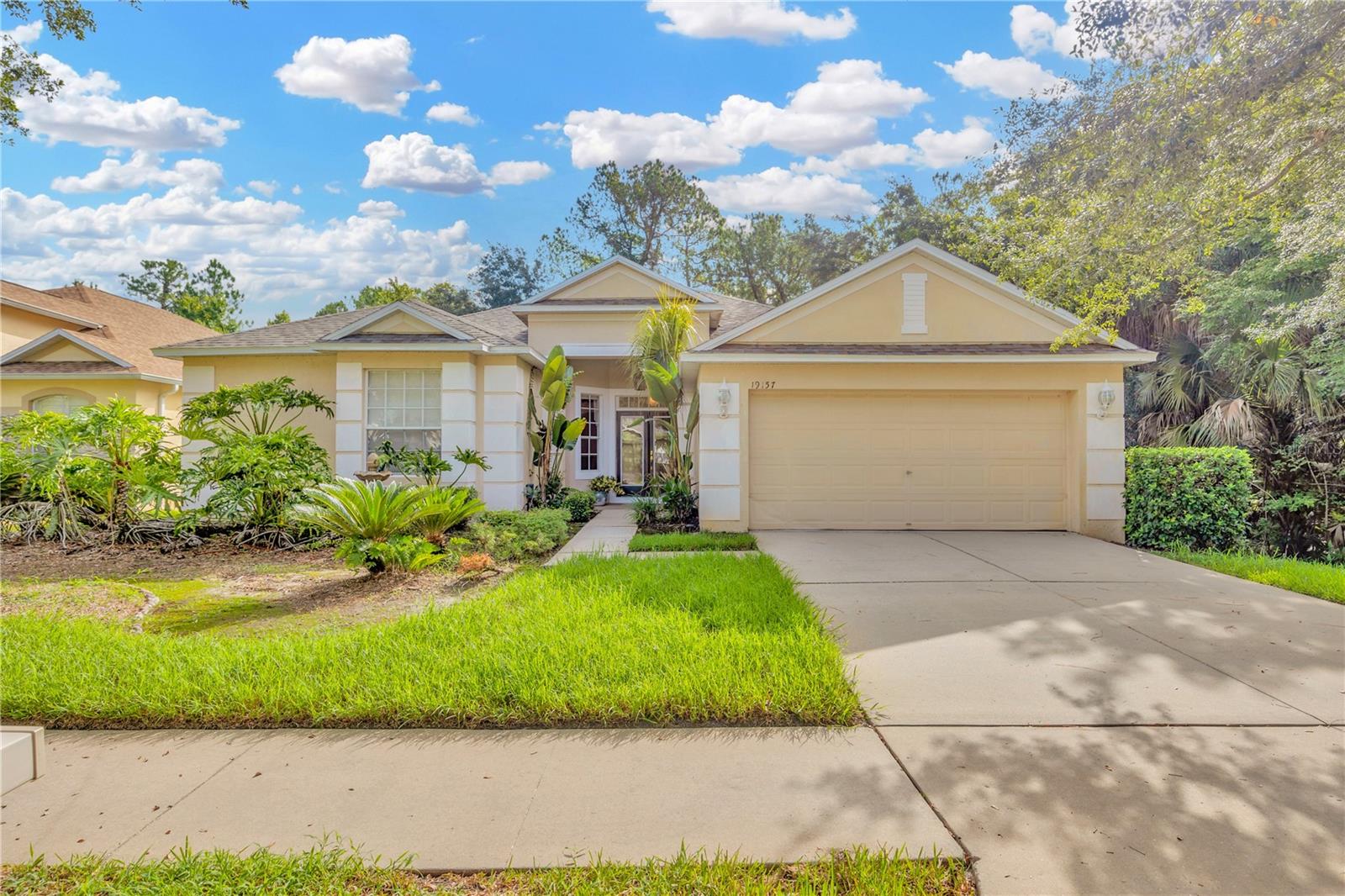 Details for 19157 Meadow Pine Drive, TAMPA, FL 33647