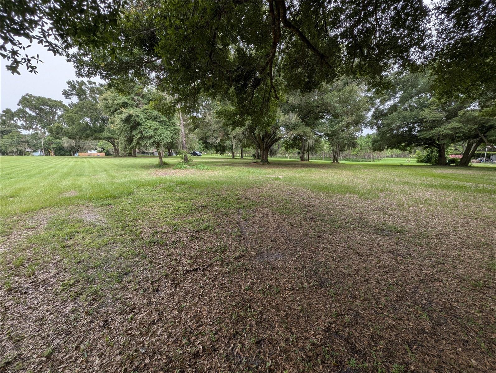 Listing photo id 50 for 18302 Hanna Road