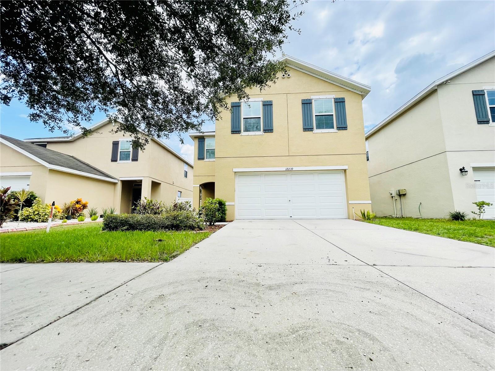 Details for 12239 Fawn Brindle Street, RIVERVIEW, FL 33578