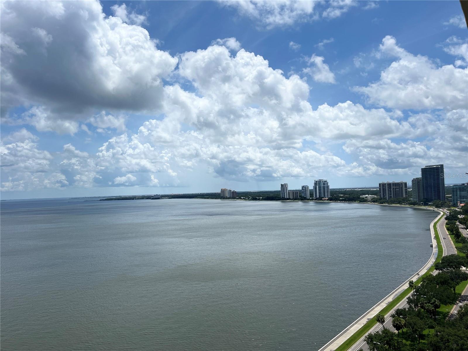 Image 42 of 49 For 2413 Bayshore Boulevard 2206