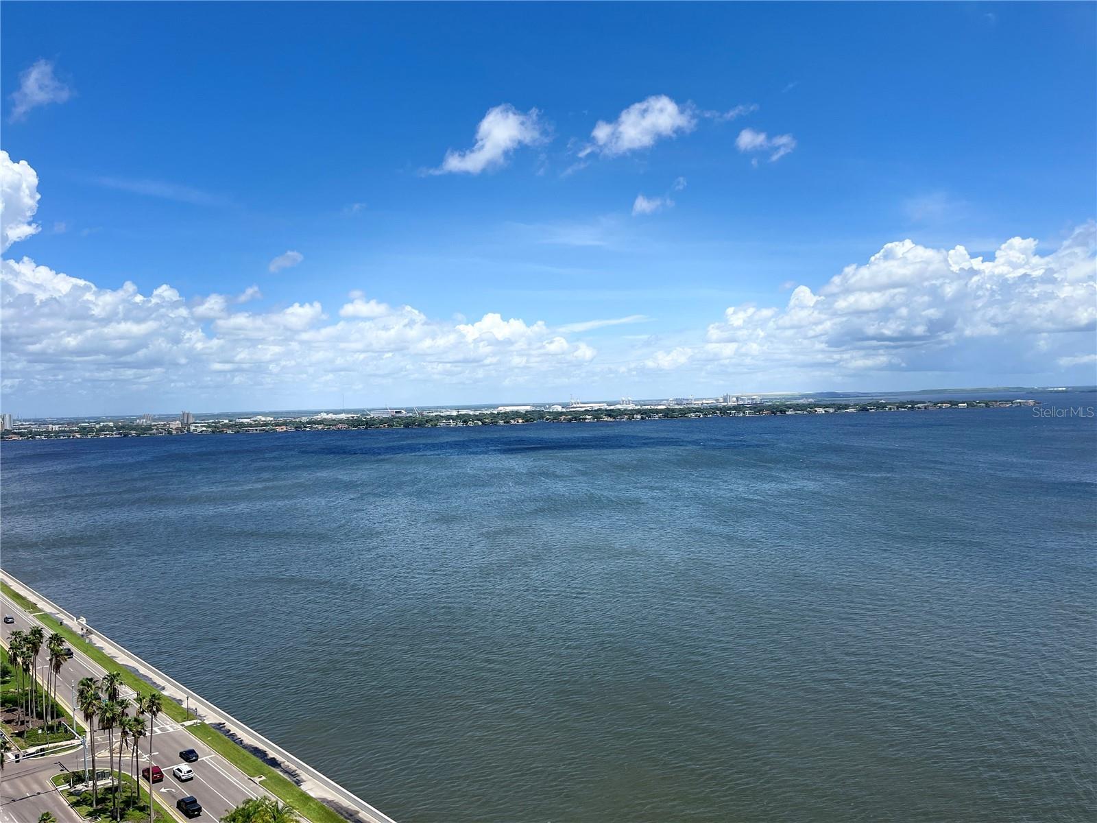 Image 43 of 49 For 2413 Bayshore Boulevard 2206