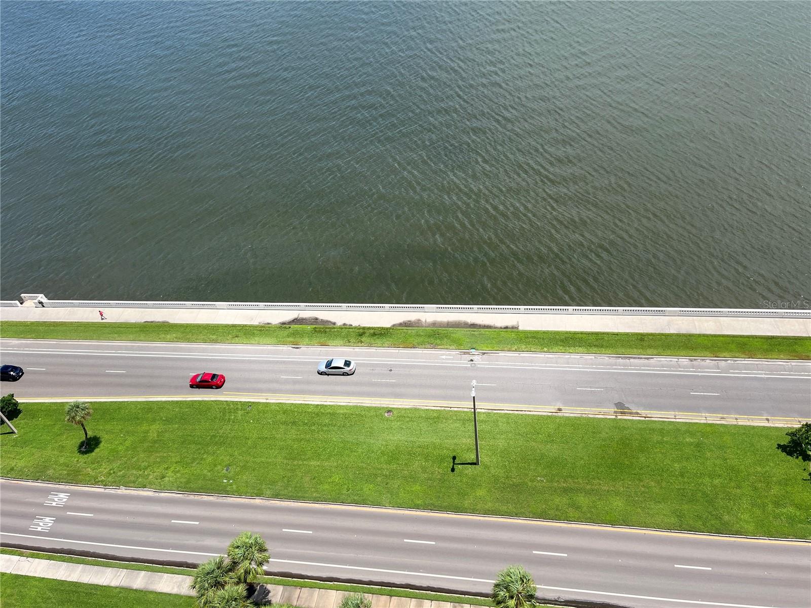 Image 45 of 49 For 2413 Bayshore Boulevard 2206