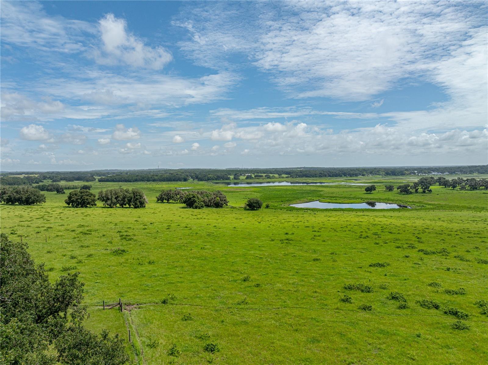 Listing photo id 93 for 34868 Prospect Road