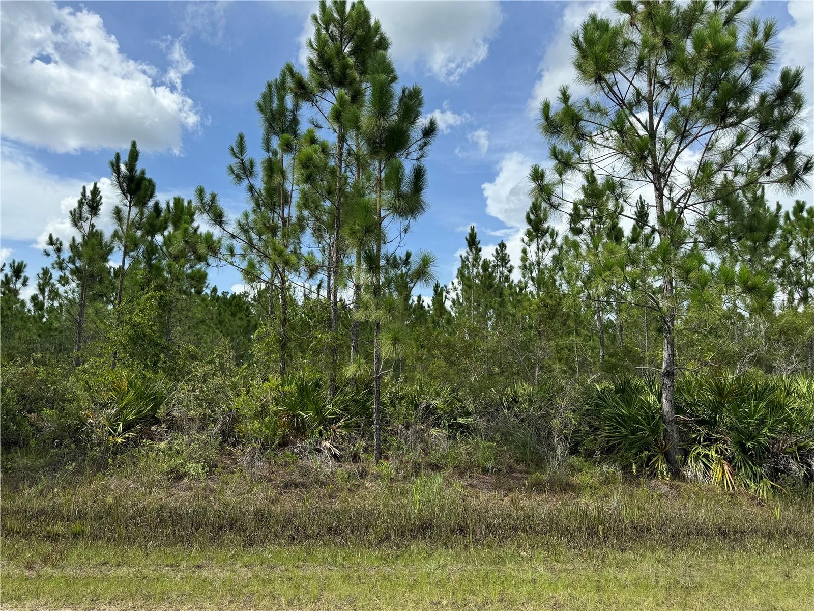 Details for 3621 Calendula Drive, INDIAN LAKE ESTATES, FL 33855