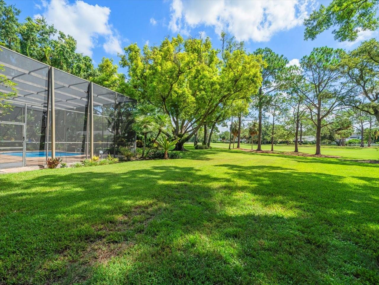 Listing photo id 56 for 4405 Carrollwood Village Drive