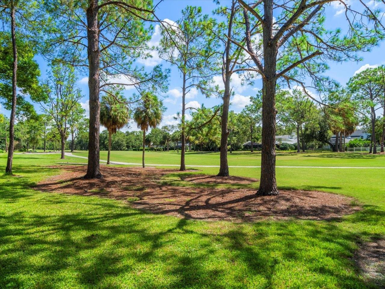 Listing photo id 57 for 4405 Carrollwood Village Drive