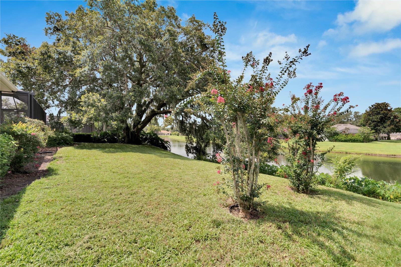 Listing photo id 61 for 2925 Forest Hammock Drive