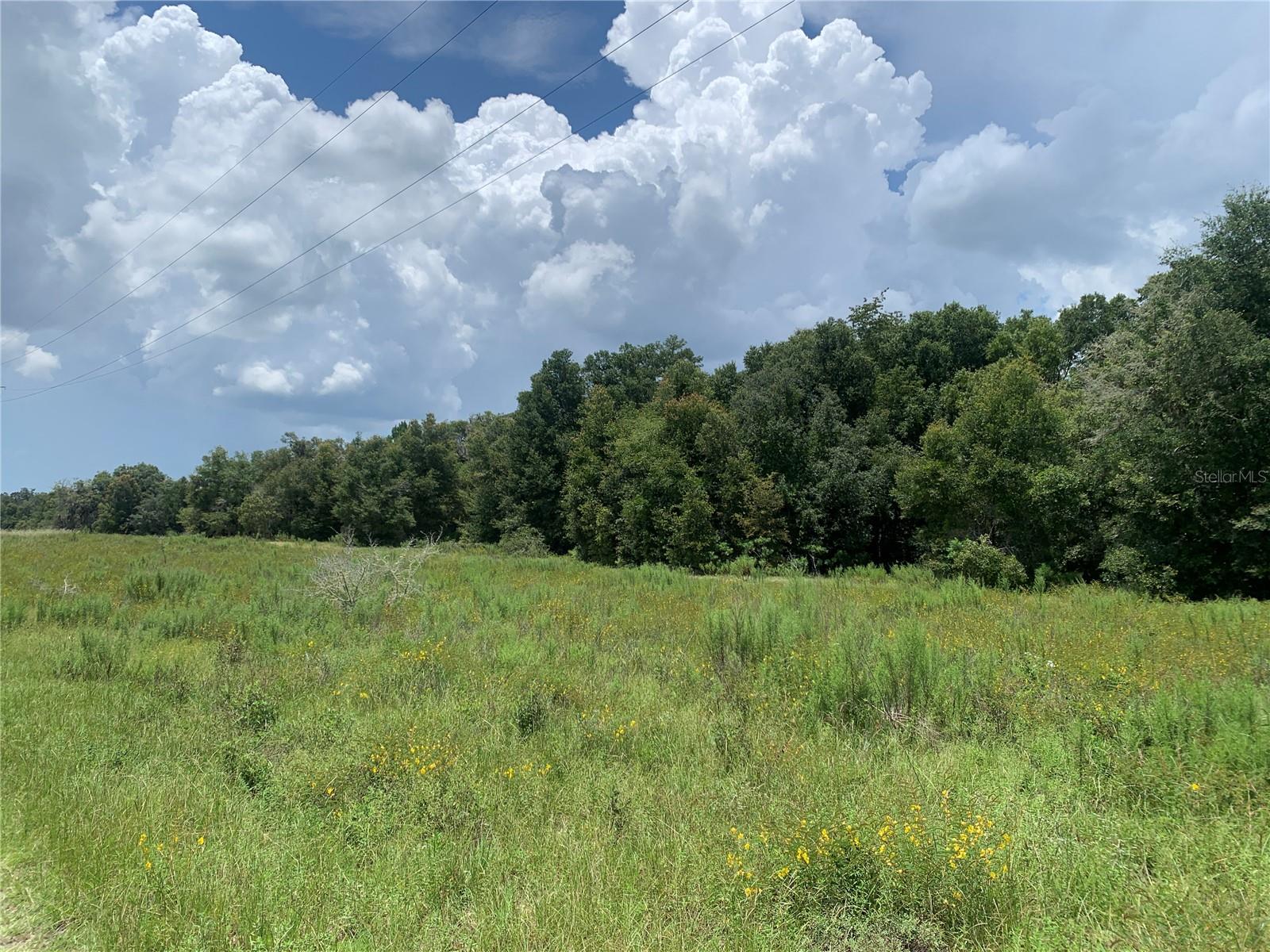 Image 4 of 10 For San Angelo Pkwy