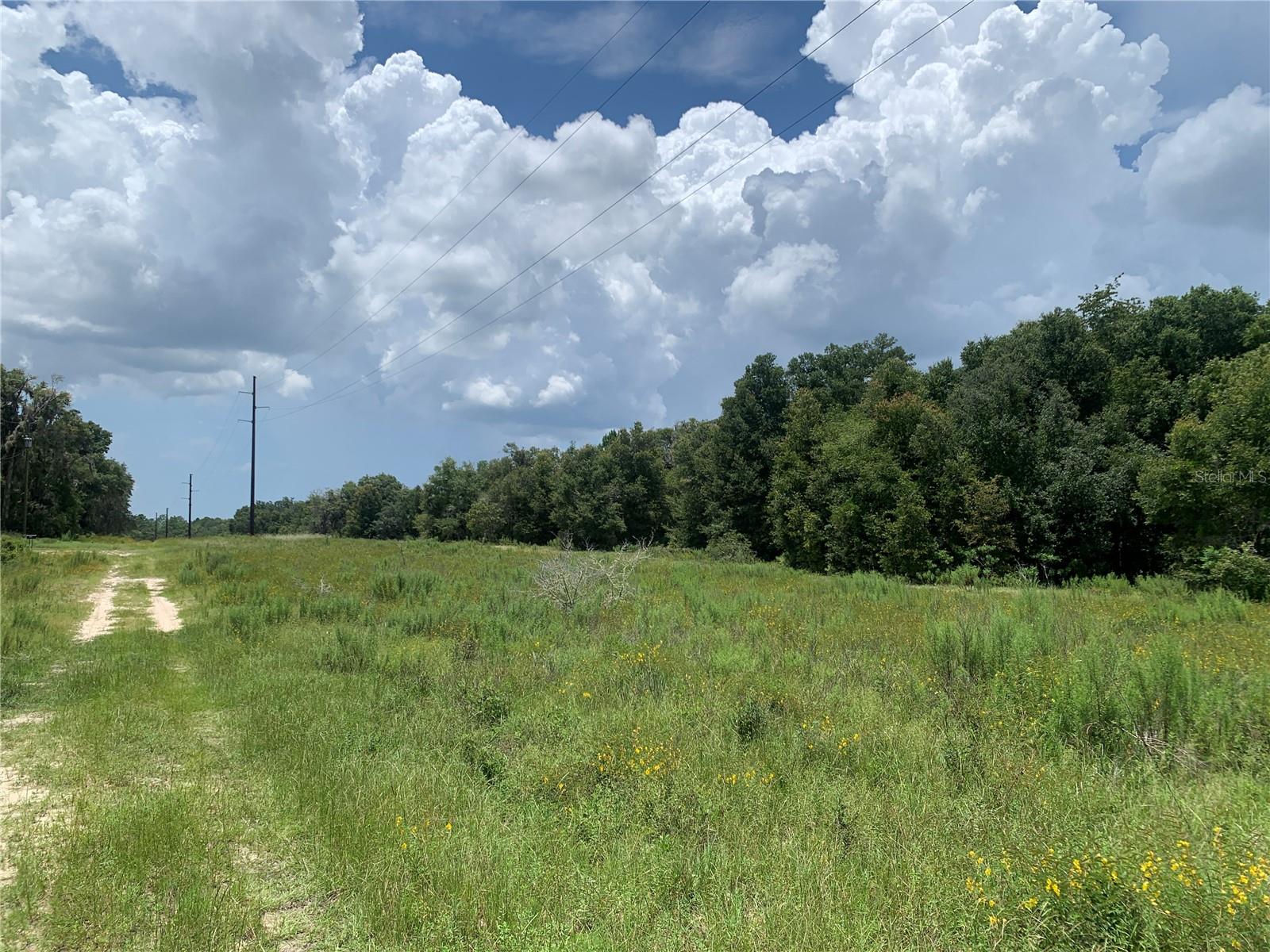 Image 5 of 10 For San Angelo Pkwy