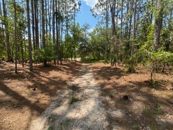 Details for Sw 99th Lane, OCALA, FL 34476