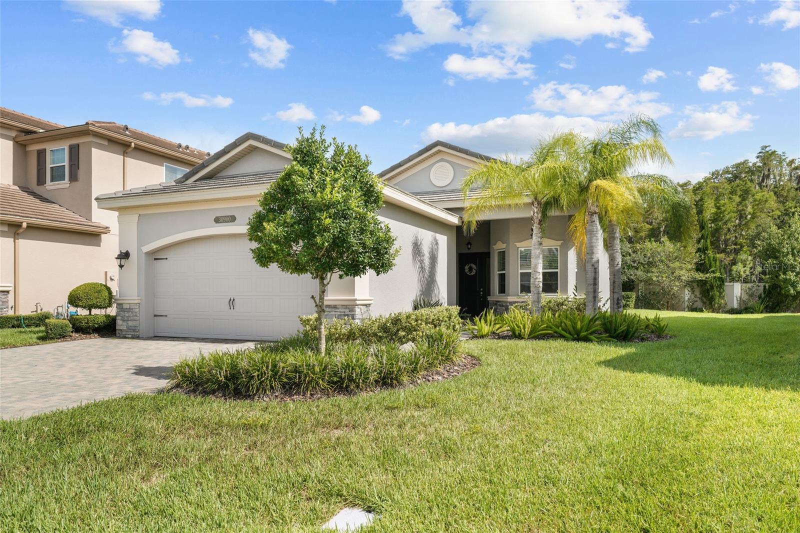 Details for 30900 Lindentree Drive, WESLEY CHAPEL, FL 33543