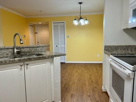 Listing photo id 4 for 4201 Woodstorks Walk Way 3206