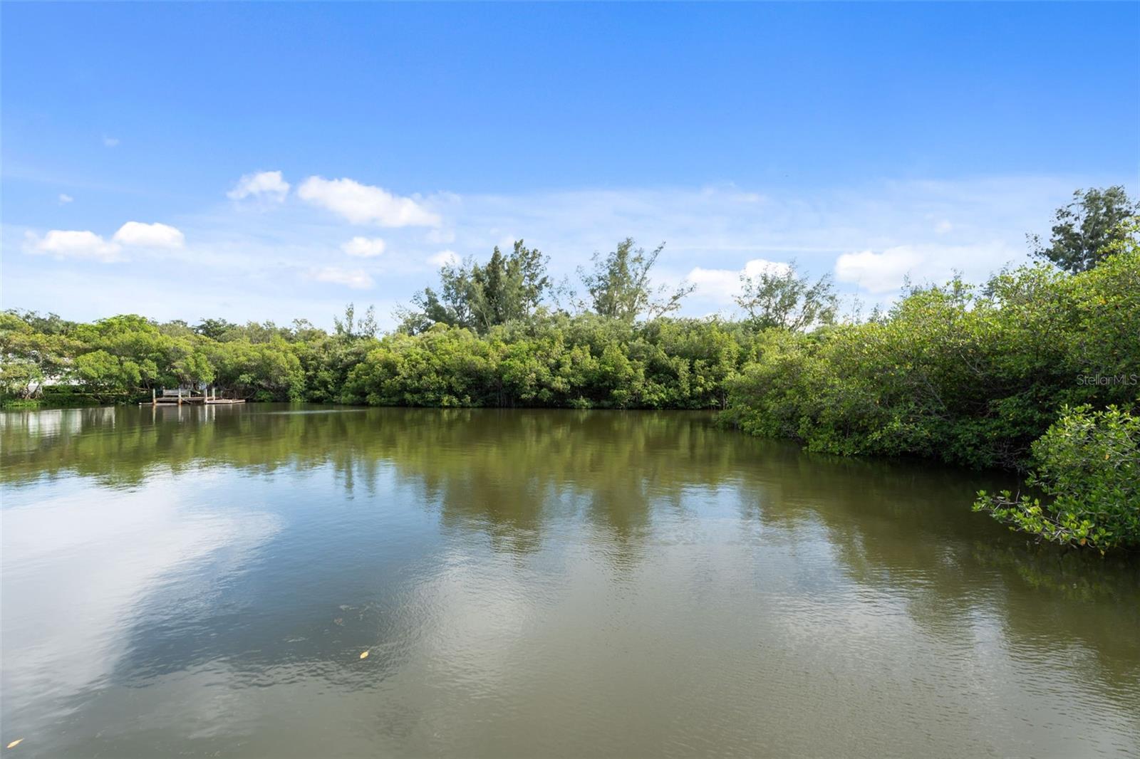 Image 49 of 52 For 395 Live Oak Drive