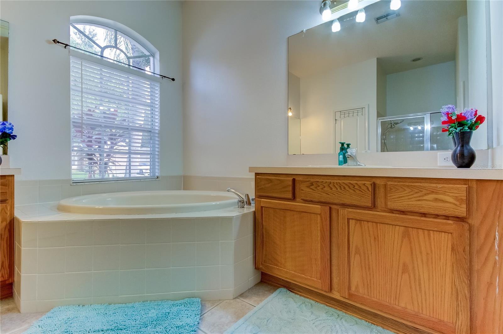 Listing photo id 21 for 25954 Risen Star Drive