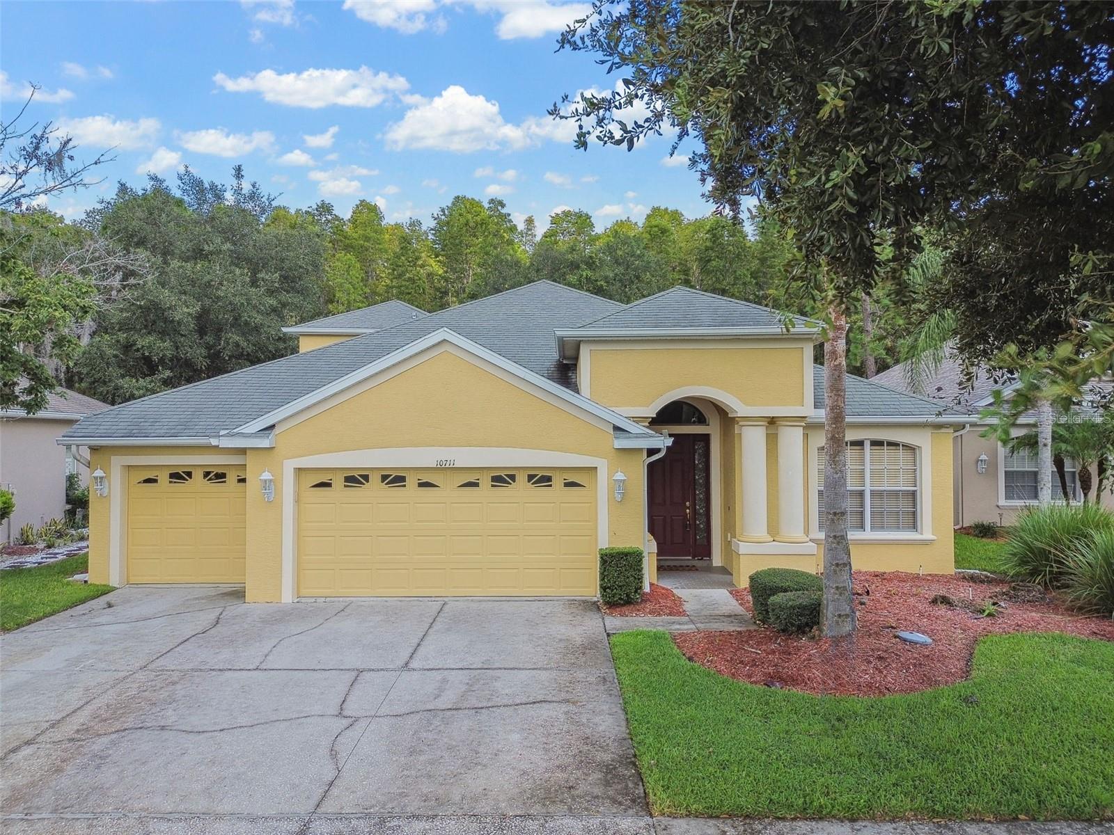 Details for 10711 Pearl Berry Loop, LAND O LAKES, FL 34638