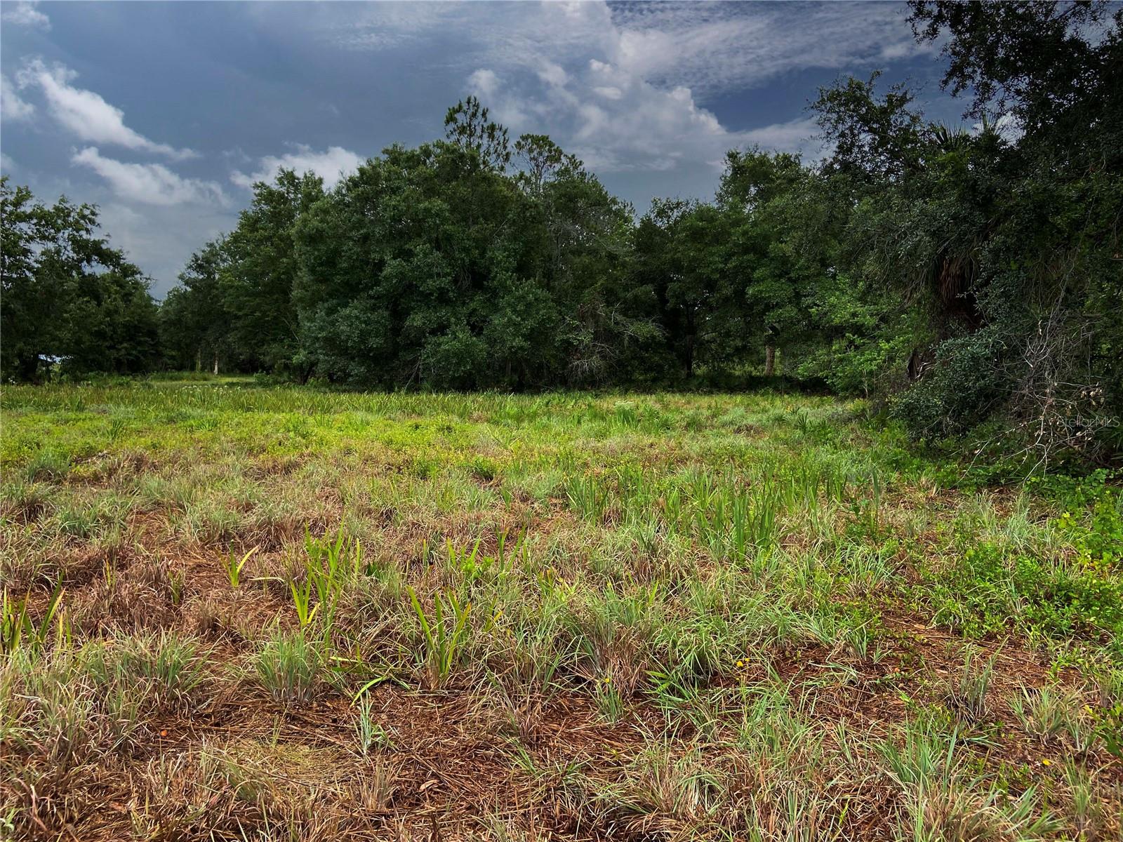 Image 8 of 15 For Lightfoot Road